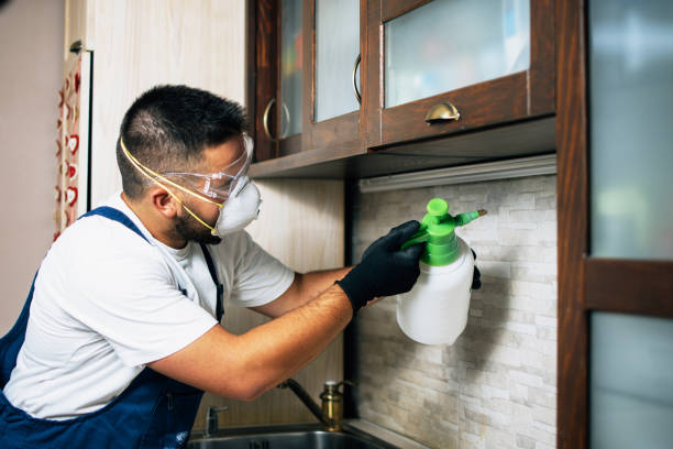 Best Best Pest Control Companies  in Tappan, NY