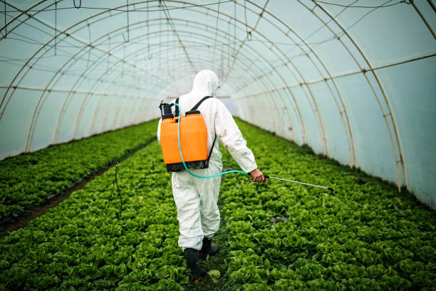 Best Pest Control Cost  in Tappan, NY