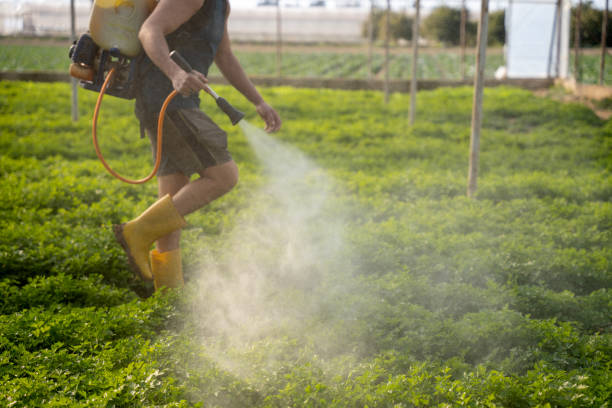 Best Affordable Pest Control Services  in Tappan, NY