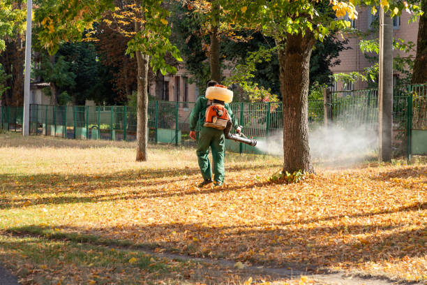 Best Residential Pest Control  in Tappan, NY