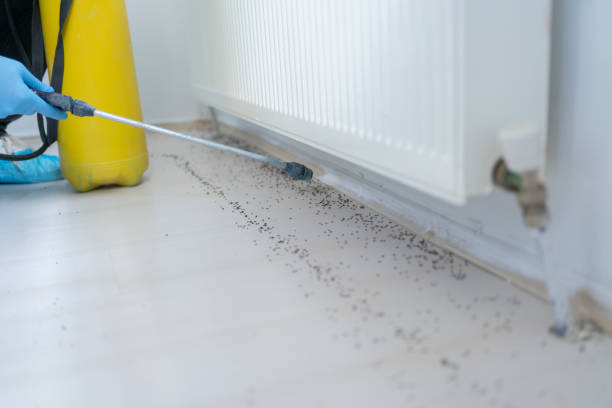 Best Commercial Pest Control Services  in Tappan, NY